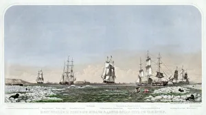 Right Whaling in Behering Straits & Arctic Ocean with its Varieties, pub. 1871 (colour lithograph) Right Whaling in Behering Straits & Arctic Ocean with its Varieties, pub. 1871 (colour lithograph)