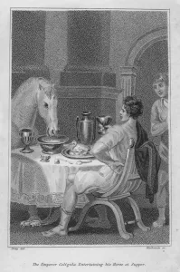 The Roman Emperor Caligula entertaining his favourite horse, Incitatus, at supper (engraving) The Roman Emperor Caligula entertaining his favourite horse, Incitatus, at supper (engraving)
