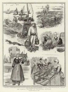 The Sardine Industry at Concarneau, Brittany (litho) The Sardine Industry at Concarneau, Brittany (litho)