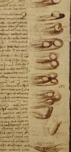 Scientific diagrams, from the Codex Leicester Scientific diagrams, from the Codex Leicester