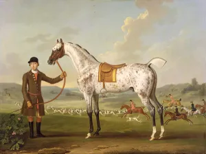 Scipio, Colonel Roches Spotted Hunter, c.1750 (oil on canvas) Scipio, Colonel Roches Spotted Hunter, c.1750 (oil on canvas)