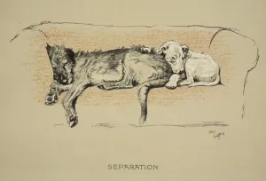 Separation, 1930, 1st Edition of Sleeping Partners, Aldin Separation, 1930, 1st Edition of Sleeping Partners, Aldin