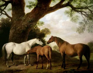 Two Shafto Mares and a Foal, 1774 (oil on panel) Two Shafto Mares and a Foal, 1774 (oil on panel)