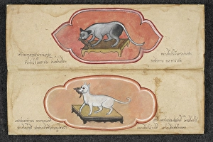 Siamese Cats Print, 19th Century Thai Artwork