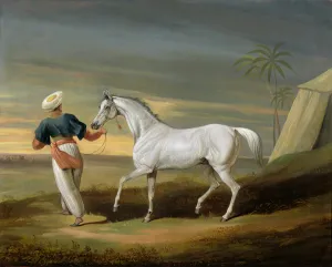 Signal, a grey Arab, with a Groom in the Desert (oil on panel) Signal, a grey Arab, with a Groom in the Desert (oil on panel)