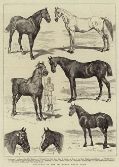 Sketches at the Islington Horse Show (engraving) Sketches at the Islington Horse Show (engraving)