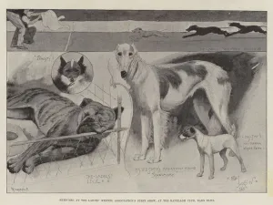 Sketches at the Ladies Kennel Association's First Show, at the Ranelagh Club, Barn Elms (litho) Sketches at the Ladies Kennel Association's First Show, at the Ranelagh Club, Barn Elms (litho)