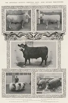 The Smithfield Society's Christmas Show, Some Notable Prize-Winners (b/w photo) The Smithfield Society's Christmas Show, Some Notable Prize-Winners (b/w photo)