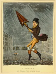 A Soaker or Real Cat and Dog Day, engraved by G. Hunt, published by Thomas McLean, London A Soaker or Real Cat and Dog Day, engraved by G. Hunt, published by Thomas McLean, London