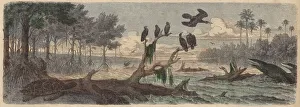 South America: estuary in Guyana (coloured engraving) South America: estuary in Guyana (coloured engraving)