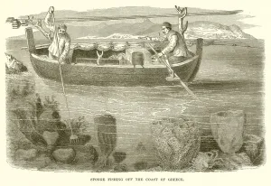 Sponge Fishing off the Coast of Greece (engraving) Sponge Fishing off the Coast of Greece (engraving)