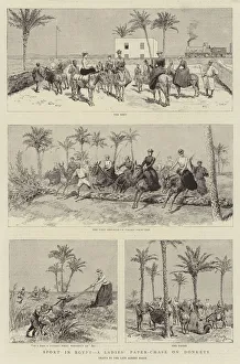 Sport in Egypt, a Ladies Paper-Chase on Donkeys (engraving) Sport in Egypt, a Ladies Paper-Chase on Donkeys (engraving)