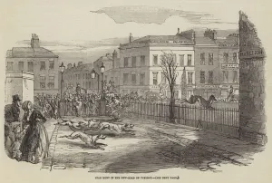Stag Hunt in the New-Road on Tuesday (engraving) Stag Hunt in the New-Road on Tuesday (engraving)