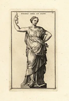 Statue of the Roman goddess Juno from the 2nd century BC. 1779 (engraving) Statue of the Roman goddess Juno from the 2nd century BC. 1779 (engraving)
