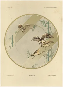 Storks, plate 10 from Fantaisies decoratives, engraved by Gillot Storks, plate 10 from Fantaisies decoratives, engraved by Gillot
