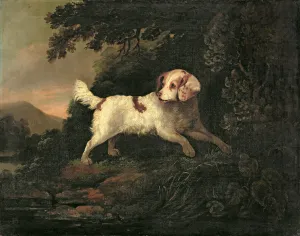 Study of Clumber Spaniel in Wooded River Landscape Study of Clumber Spaniel in Wooded River Landscape