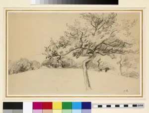 Study of the orchard at Eragny-sur-Epte with a tree in the foreground Study of the orchard at Eragny-sur-Epte with a tree in the foreground