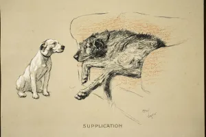 Supplication, 1930, 1st Edition of Sleeping Partners, Aldin Supplication, 1930, 1st Edition of Sleeping Partners, Aldin