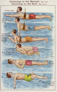 Swimming on the Stomach, Swimming on the Back (colour litho) Swimming on the Stomach, Swimming on the Back (colour litho)