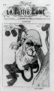 Caricature Print of Charles Darwin, 1871