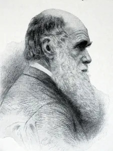 English Naturalist Prints: Charles Robert Darwin, 1850