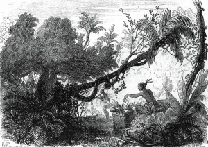 South America History Prints: Collecting rubber by tapping the rubber trees, in Para, Brazil, engraving in 1853