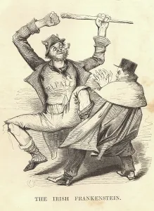 Irish Politician Prints: Daniel O'Connell (1755-1847) The Liberator