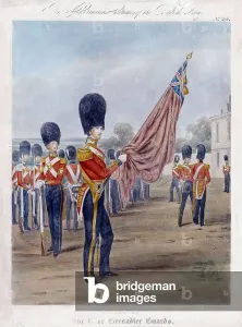 Grenadier Guards Ensign Print