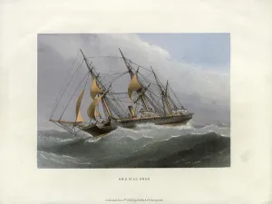 Royal Navy Ship Prints: HMS Wild Swan