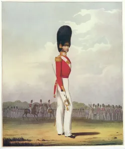 Military Conflict Images Prints: Officer of Grenadier Guards during Crimean War