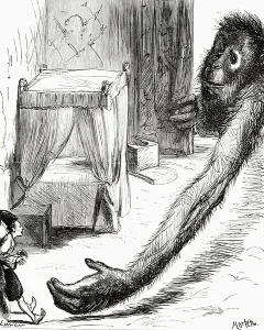 Jonathan Swift Artwork Prints: Reaching one of his paws in at the door