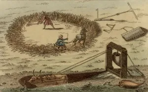 Farm Animal Illustration Prints: Threshing corn using a horse pulling a sledge