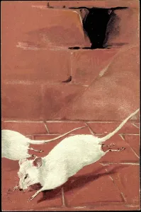Colourful Postcard Prints: Two White Mice, 1903 (lithograph)