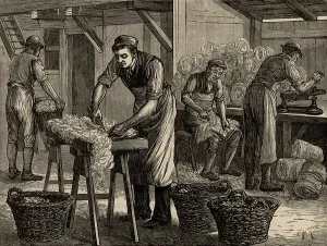 Textile Manufacturing Equipment Prints: Woolsorters, 1880 (engraving)