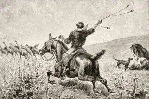 Throwing the Bolas, from Journal of Researches by Charles Darwin (1809-92) Throwing the Bolas, from Journal of Researches by Charles Darwin (1809-92)