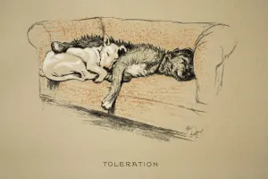 Toleration, 1930, 1st Edition of Sleeping Partners, Aldin Toleration, 1930, 1st Edition of Sleeping Partners, Aldin
