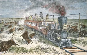 Train Passengers on the Kansas Pacific Railroad, shooting buffalo for sport in Train Passengers on the Kansas Pacific Railroad, shooting buffalo for sport in