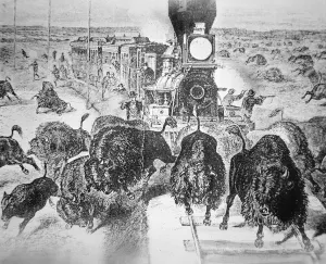 Train Passengers on the Kansas Pacific Railroad, shooting buffalo for sport in Train Passengers on the Kansas Pacific Railroad, shooting buffalo for sport in