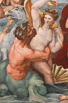 The Triumph of Galatea, 1513-14 (fresco) (detail of 2646174) The Triumph of Galatea, 1513-14 (fresco) (detail of 2646174)