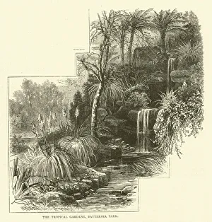 The Tropical Gardens, Battersea Park (engraving) The Tropical Gardens, Battersea Park (engraving)