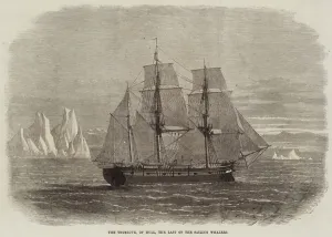 The Truelove, of Hull, the Last of the Sailing Whalers (engraving) The Truelove, of Hull, the Last of the Sailing Whalers (engraving)