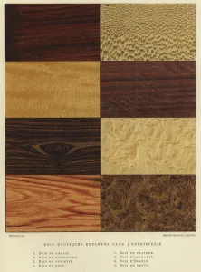 Types of exotic wood used in cabinet making (colour litho) Types of exotic wood used in cabinet making (colour litho)