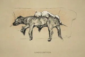 Undulation, 1930, 1st Edition of Sleeping Partners, Aldin Undulation, 1930, 1st Edition of Sleeping Partners, Aldin