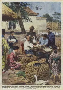 The vaccination of ducks (colour litho) The vaccination of ducks (colour litho)