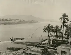Palm Tree Landscape Photography Prints: View of Elephantine, Aswan, Egypt