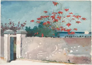 A Wall, Nassau, 1898 (w/c and graphite on paper) A Wall, Nassau, 1898 (w/c and graphite on paper)