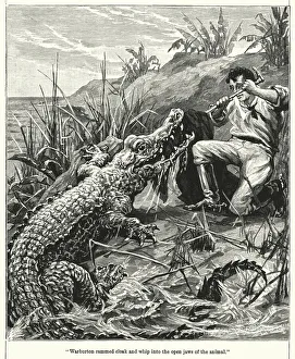 'Warburton rammed cloak and whip into the open jaws of the animal' (engraving) 'Warburton rammed cloak and whip into the open jaws of the animal' (engraving)