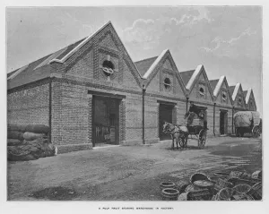 Whiteley's Farms: A pulp fruit storing warehouse in factory (b/w photo) Whiteley's Farms: A pulp fruit storing warehouse in factory (b/w photo)