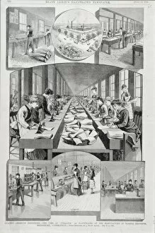 Images Dated 11th May 2007: Women making corsets, 1884 (engraving)