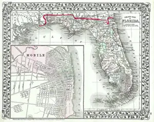 Rare Antique Maps For Sale Online Prints: 1874, Mitchell Map of Florida w- Mobile, Alabama inset, topography, cartography, geography